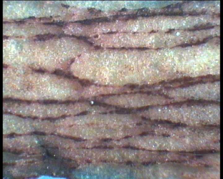 Winkel   ( FRA )   28.08.2004    1 Serie